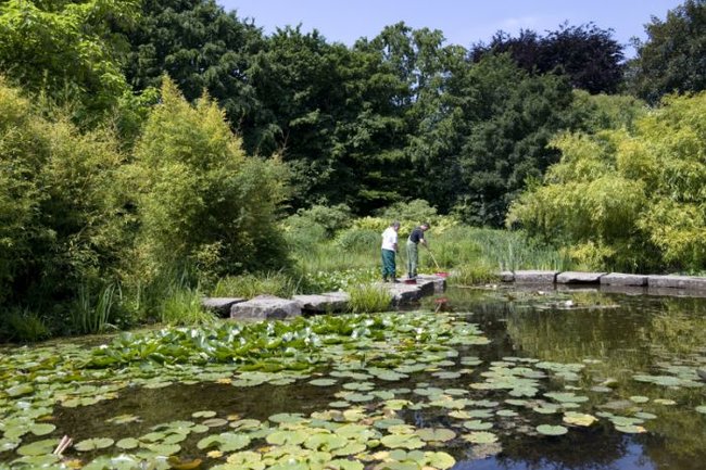 Bild Wir Sind Südpark