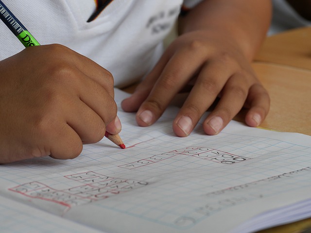 Berufliche Bildung in der WfbM – Rückbesinnung auf das Wesentliche Bild Berufliche Bildung in der WfbM – Rückbesinnung auf das Wesentliche